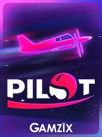 Pilot crash at D9D9D9 COM