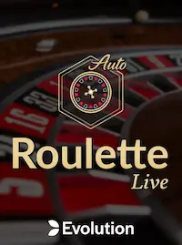 Roulette Live at D9D9D9 COM